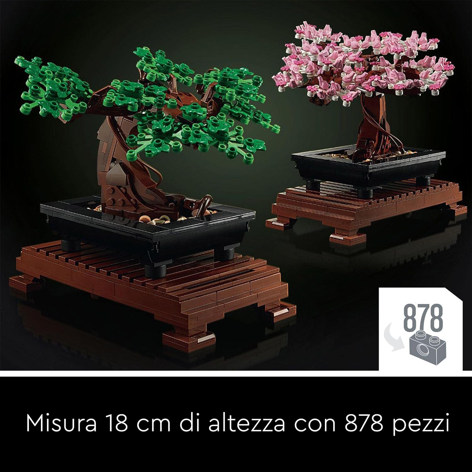 Albero Bonsai