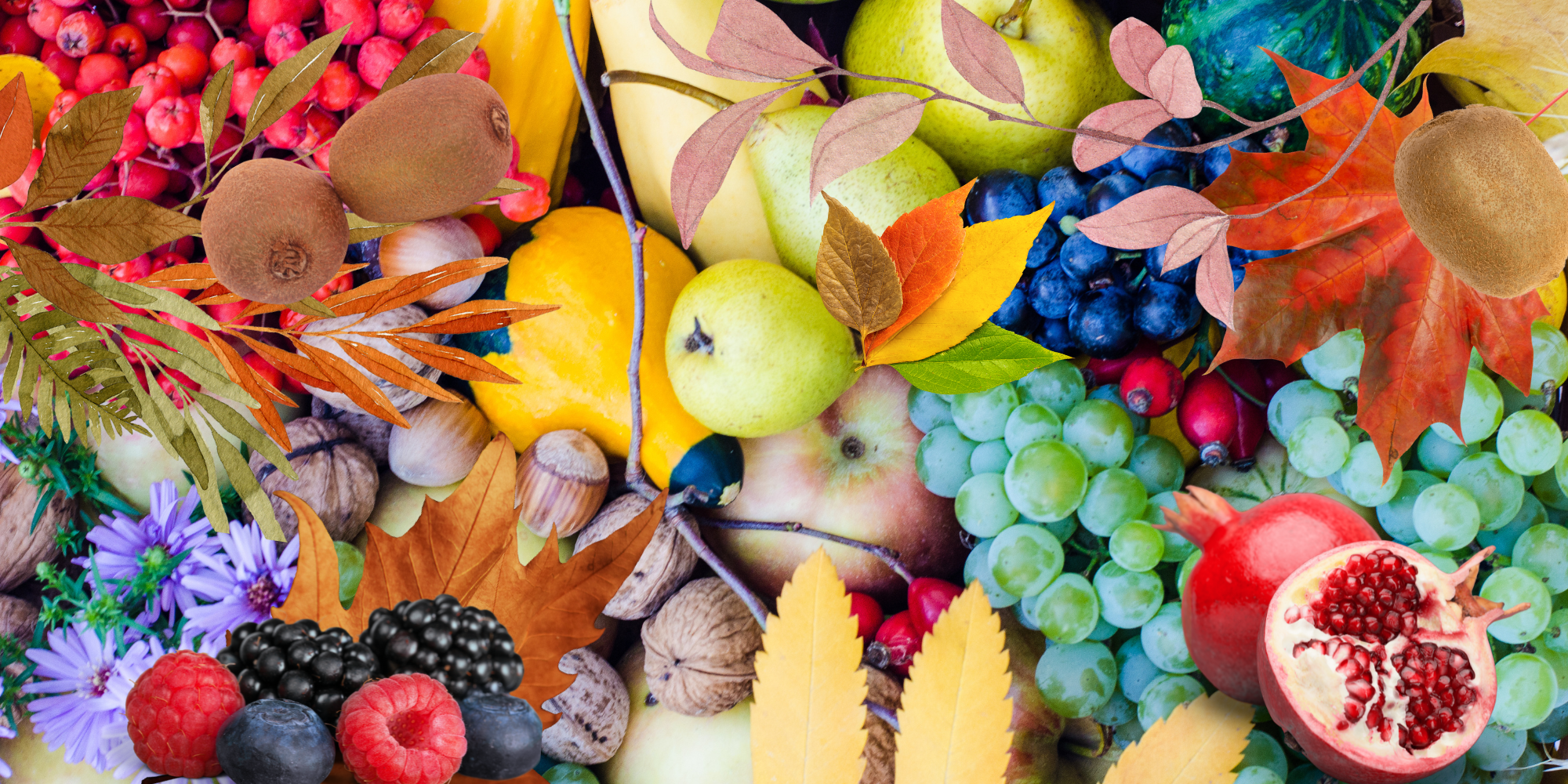 Frutta di Stagione e Salute